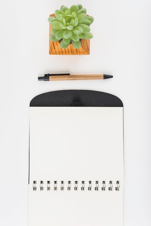 Photo gratuit plante en pot près du stylo et du bloc-notes