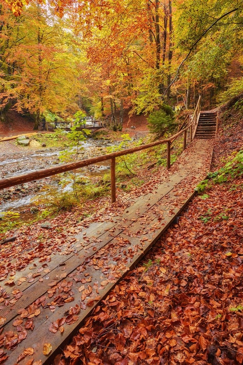 Photo gratuit pont en bois de paysage d'automne en parc d'automne
