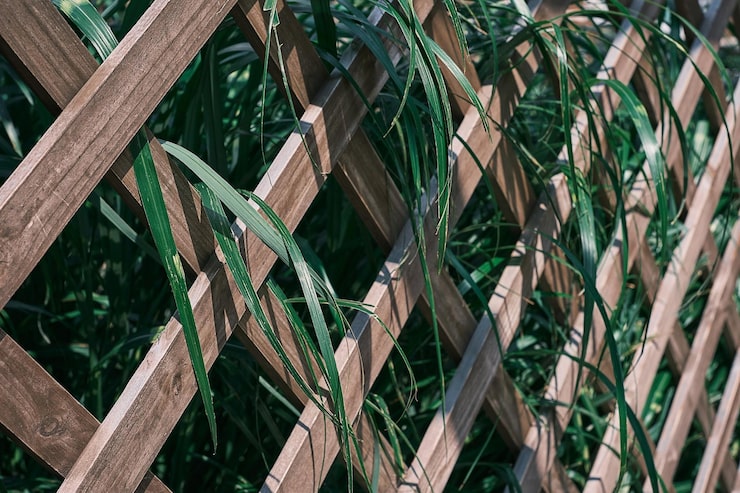 Photo gratuit treillis en bois envahi par la mise au point sélective de verdure feuillage à base de plantes avec des feuilles vertes et blanches sur fond de treillis de jardin ou économiseur d'écran pour la bannière de la nature