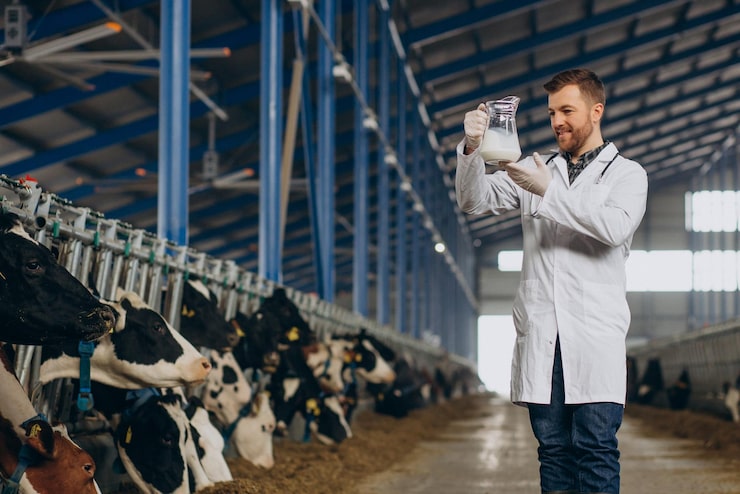 Photo gratuit vétérinaire à l'étable avec pot de lait