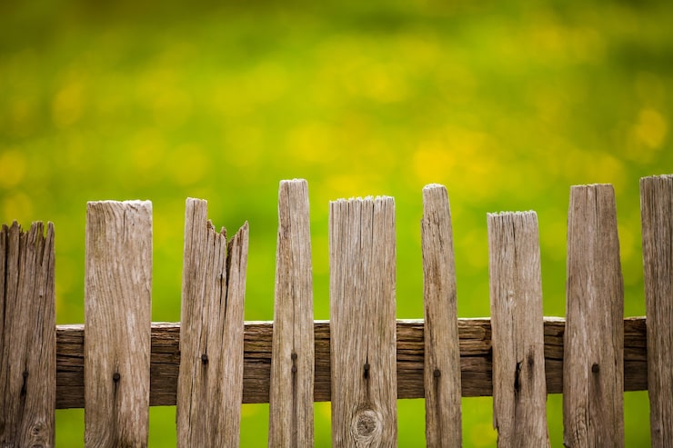 Photo gratuit vieille clôture en bois dans le jardin