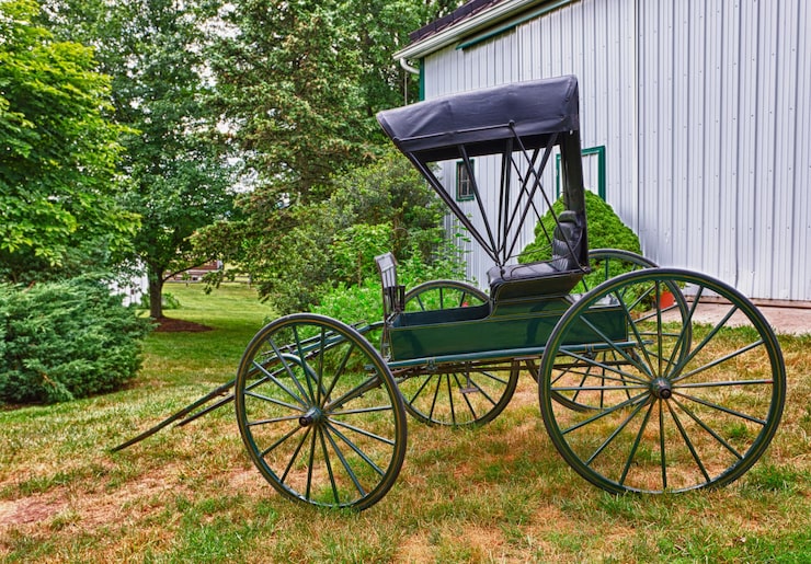 Photo buggy tiré par un cheval vert