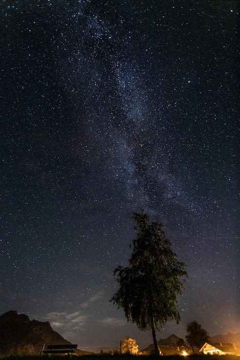 Photo le ciel de nuit et la voie lactée au-dessus d'un arbre