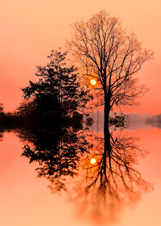 Photo fond naturel, coucher de soleil