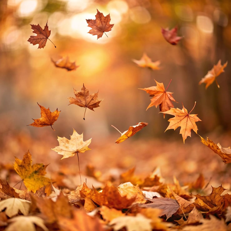 Photo un groupe de feuilles qui sont sur un arbre