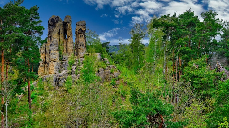 Foto en fin utsikt over klusfelsen nær halberstadt