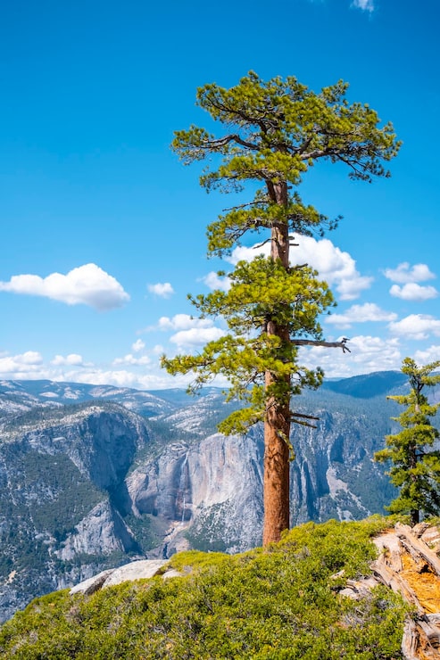 Foto upper yosemite fall fra sentinel dome yosemite national park, usa
