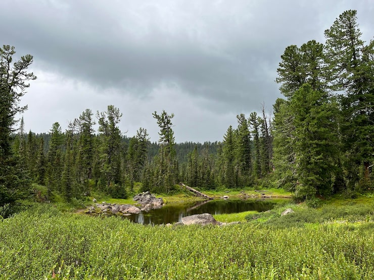 Foto vill fjellinnsjø om sommeren. vill natur-konsept.