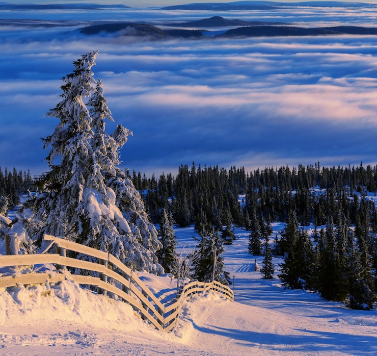 Foto vinterfjell