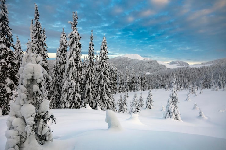 Foto vinterfjellandskap ved soloppgang. vakre fjell og snødekte grantrær om morgenen