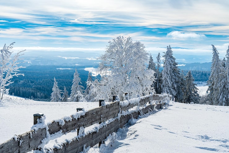 Foto vinterlandskap på brend