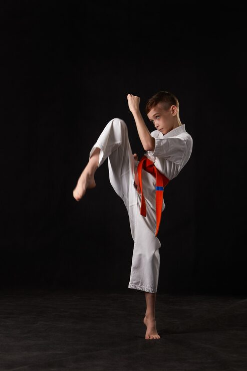 Bild karate i en pose