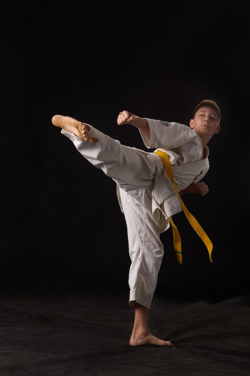 Bild karate i en pose
