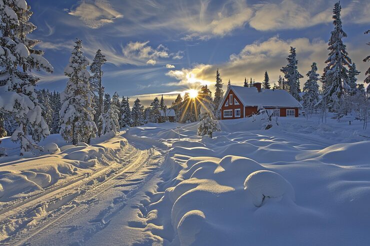 Bild litet privat hus i skogen i tuddal gaustatoppen