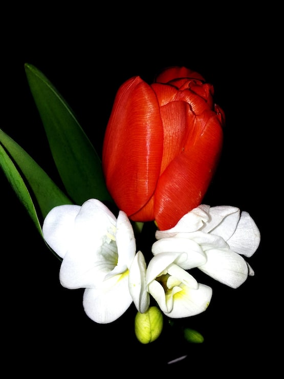 Foto nærbillede af blomster i vase