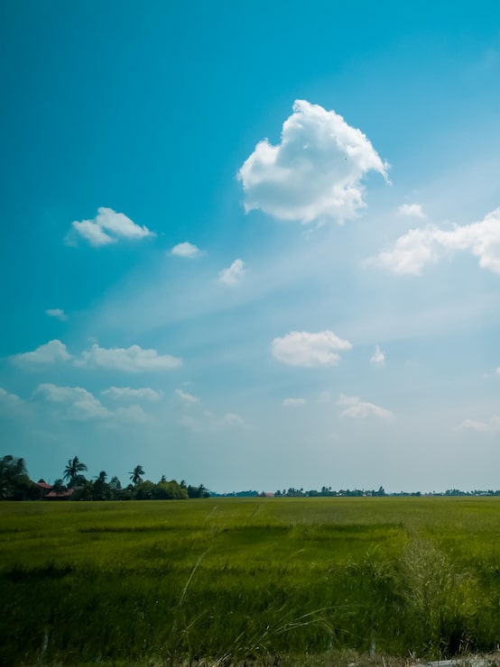 Foto naturskøn udsigt over rismark mod himlen i malaysia