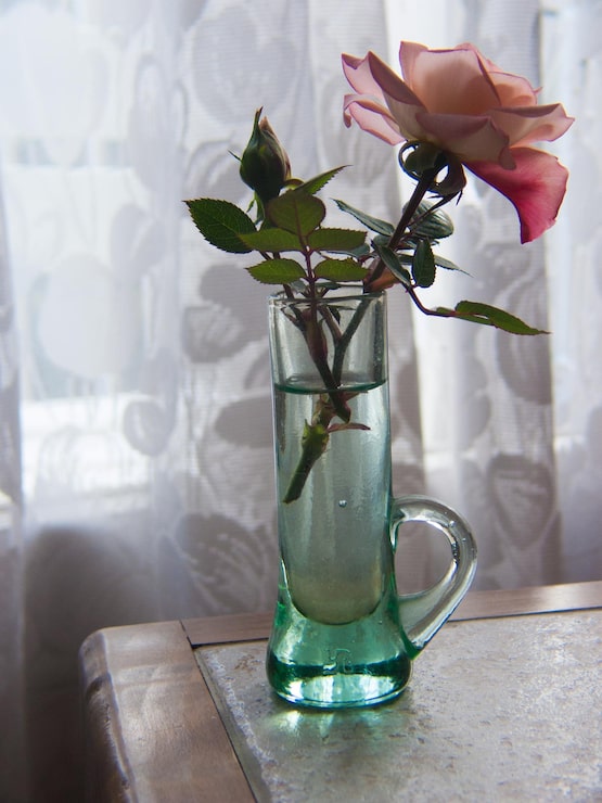 Foto rose