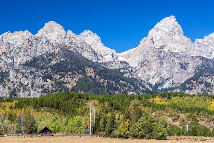 Bild teton range och foothills