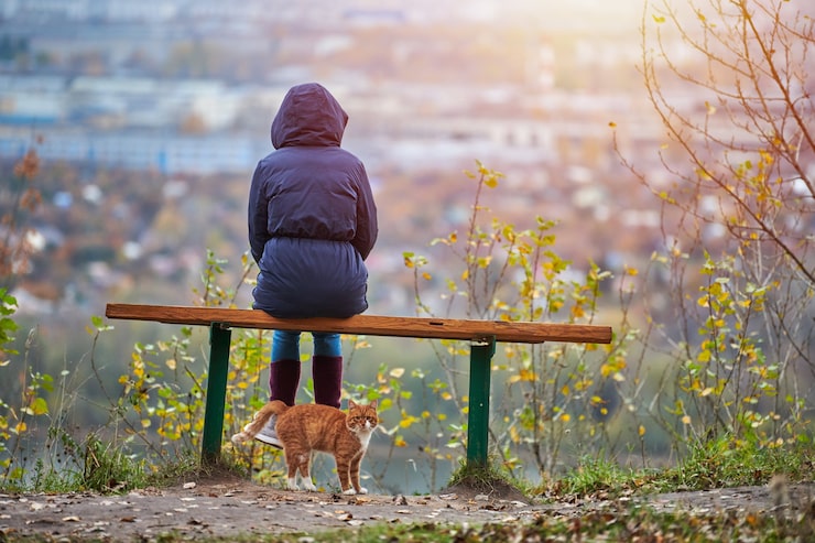 Foto ung kvinde sidder på bænk i efterårspark