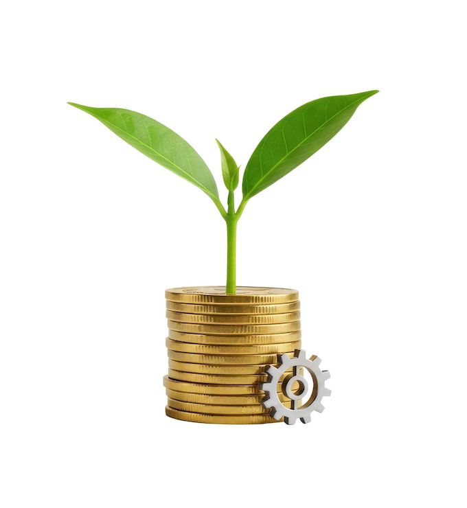 PSD een groene plant die groeit uit een stapel munten op een transparante achtergrond