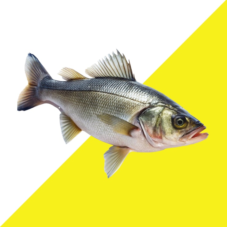PSD en fisk som har en gul bakgrunn som sier quot fisk quot