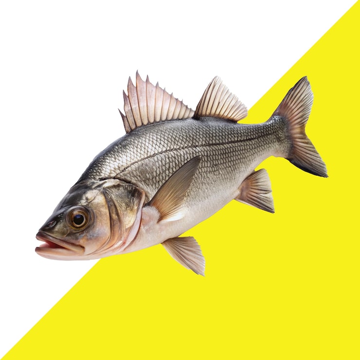 PSD en fisk som har ordet fisk på seg