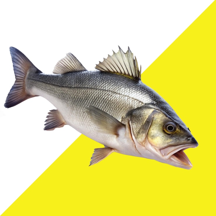 PSD en fisk som har ordet fisk på seg