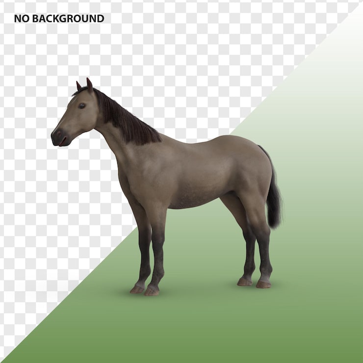 PSD hest