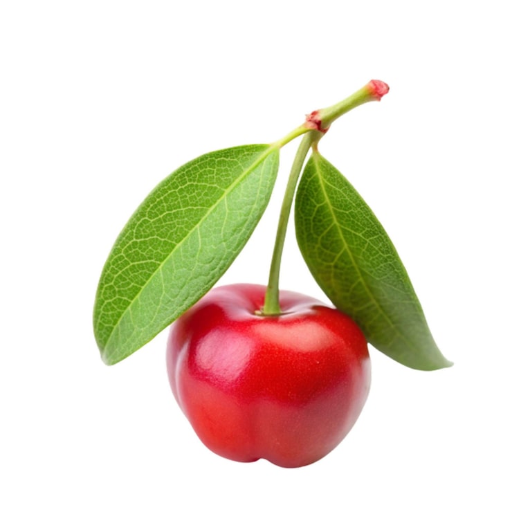 PSD körsbär isolerat på vit bakgrund transparent png-fil stock foto