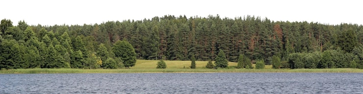 PSD naturalne krajobrazy drzewne i parkowe z otwartymi łąkami i widokami na wieś