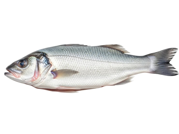 PSD nyfanget havabborfisk på hvit bakgrunn isolert på gjennomsiktig bakgrunn