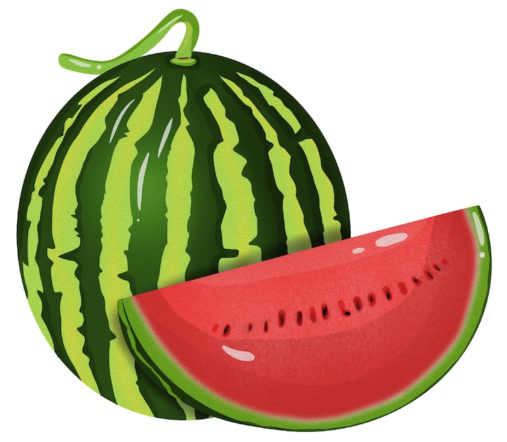 PSD vattenmelon akvarell handritad