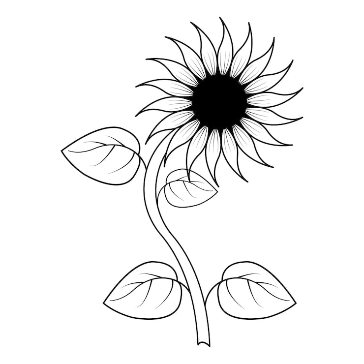 Vektor en svartvit blomma med en blomdesign på