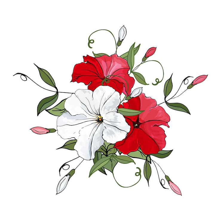 Vektor blomsteroppsats med røde og hvite blomster petunia