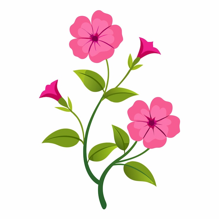 Vektor illustrasjon av rosa blomster