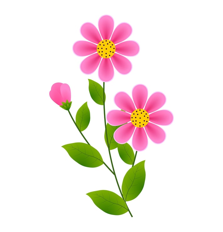 Vektor rosa blomst isolert på hvit