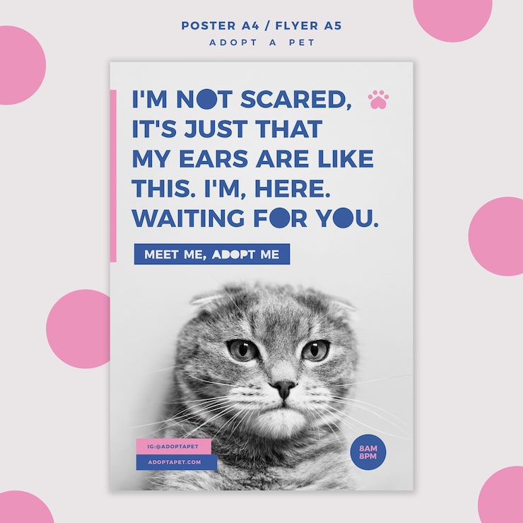 PSD gratuito adotta un modello di poster del concetto di animale domestico