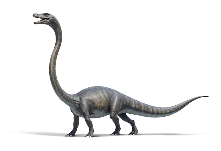 PSD gratuito la anatomía de los dinosaurios