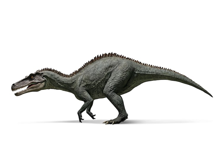PSD gratuito la anatomía de los dinosaurios