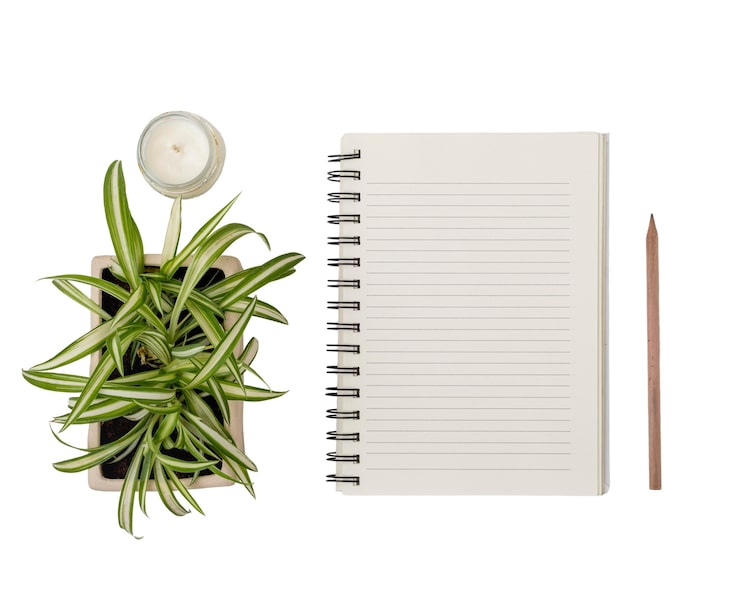 PSD gratuito hermosas hojas con cuaderno