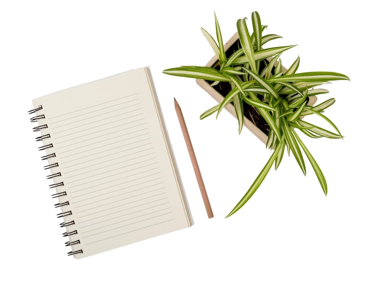 PSD gratuito hermosas hojas con cuaderno