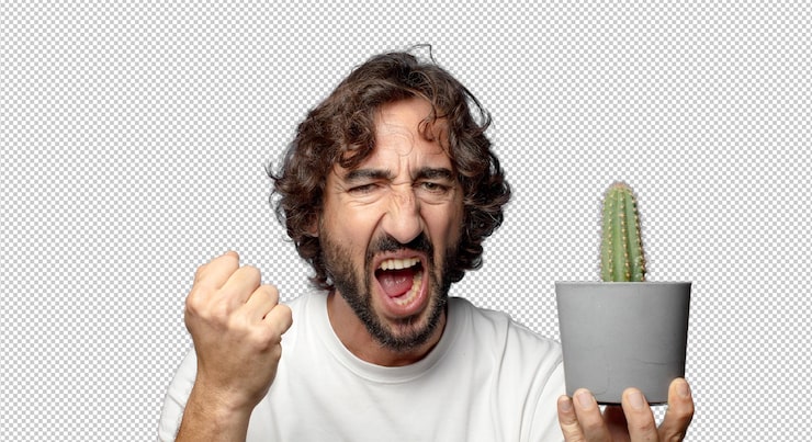 Gratis PSD jonge volwassen baarde man met een cactus huisplant