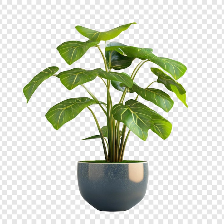 PSD Gratis tanaman philodendron dalam pot biru daun hijau subur tanaman dalam ruangan