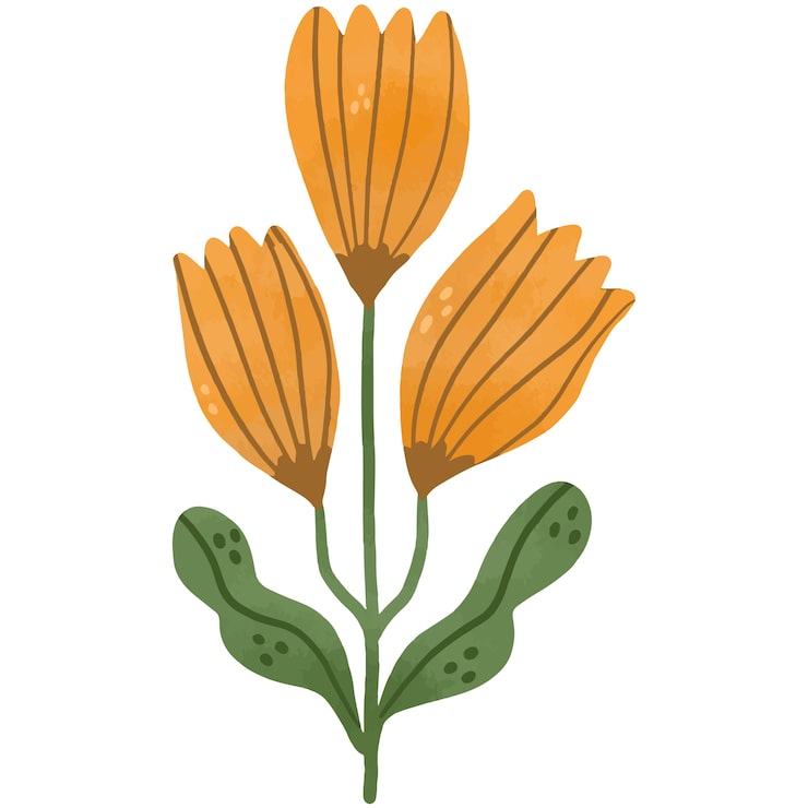 PSD gratuito vegetación natural y elemento botánico