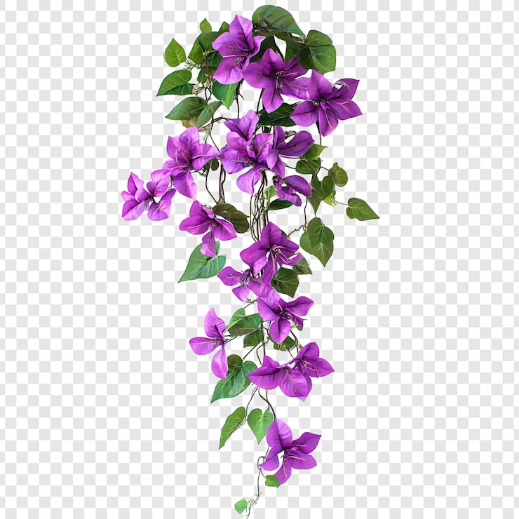 PSD gratuito la vibrante vid de bougainvillea púrpura es una muestra en cascada de belleza floral