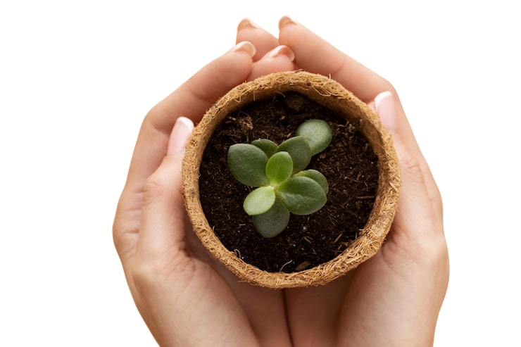 PSD gratuito visión de las manos sostenibles con la naturaleza