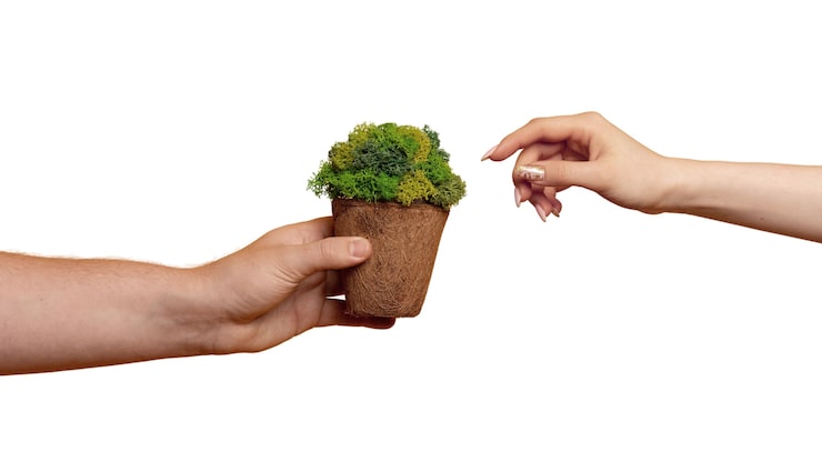 PSD gratuito visión de las manos sostenibles con la naturaleza