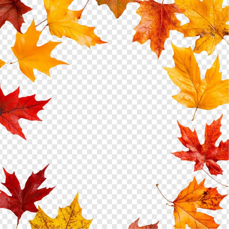 PSD gratuit les feuilles d'automne le cadre vibrant la frontière du feuillage de l'automne