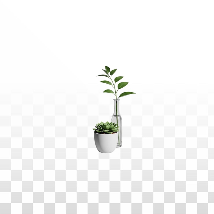 PSD grátis duas plantas verdes vibrantes: suculenta em vaso e ramo em vaso de vidro