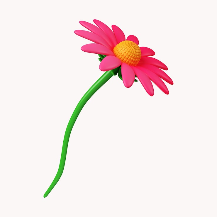 PSD 3d-echinacea-blumensymbol isoliert auf weißem hintergrund 3d-rendering-illustration beschneidungspfad